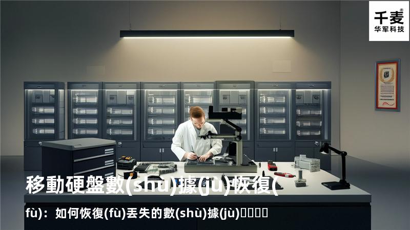 移動硬盤數(shù)據(jù)恢復(fù)：如何恢復(fù)丟失的數(shù)據(jù)，找回重要文件
